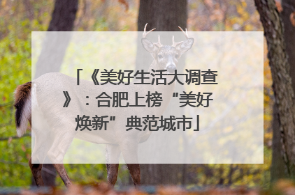 《美好生活大调查》：合肥上榜“美好焕新”典范城市