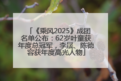 《乘风2025》成团名单公布：62岁叶童获年度总冠军，李晟、陈德容获年度高光人物