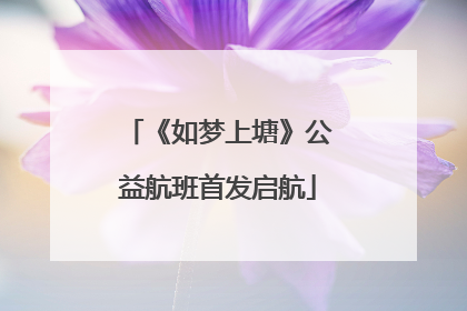 《如梦上塘》公益航班首发启航