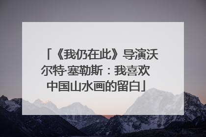 《我仍在此》导演沃尔特·塞勒斯：我喜欢中国山水画的留白