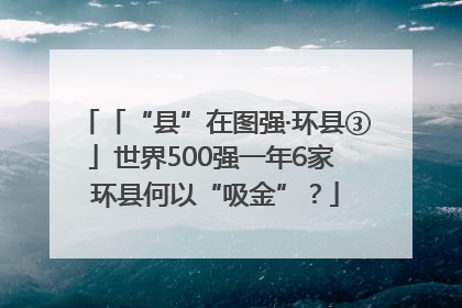 「“县”在图强·环县③」世界500强一年6家 环县何以“吸金”？