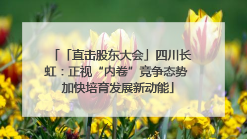 「直击股东大会」四川长虹：正视“内卷”竞争态势 加快培育发展新动能