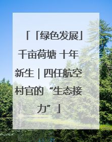 「绿色发展」千亩荷塘 十年新生｜四任航空村官的“生态接力”