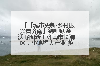 「城市更新·乡村振兴看济南」锦鲤跃金 沃野图新！济南市长清区：小锦鲤大产业 游出农旅新风景