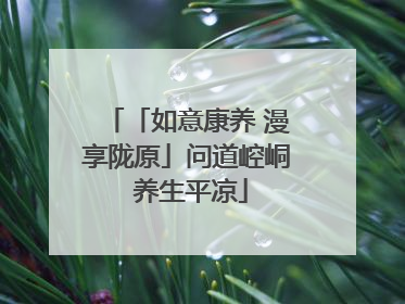 「如意康养 漫享陇原」问道崆峒 养生平凉