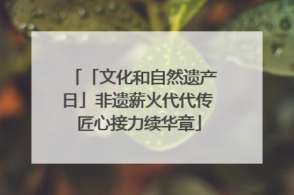 「文化和自然遗产日」非遗薪火代代传 匠心接力续华章