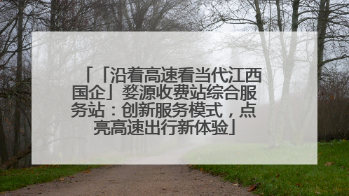 「沿着高速看当代江西国企」婺源收费站综合服务站：创新服务模式，点亮高速出行新体验
