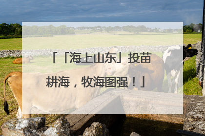 「海上山东」投苗耕海，牧海图强！
