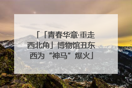 「青春华章·重走西北角」博物馆丑东西为“神马”爆火