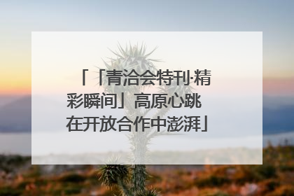 「青洽会特刊·精彩瞬间」高原心跳 在开放合作中澎湃