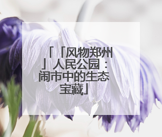 「风物郑州」人民公园：闹市中的生态宝藏