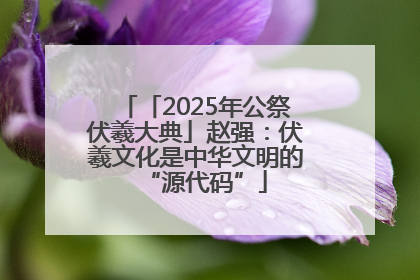 「2025年公祭伏羲大典」赵强：伏羲文化是中华文明的“源代码”
