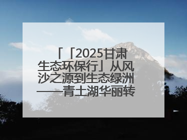 「2025甘肃生态环保行」从风沙之源到生态绿洲——青土湖华丽转身书写生态新篇