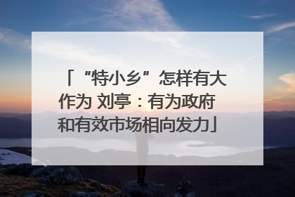 “特小乡”怎样有大作为 刘亭：有为政府和有效市场相向发力