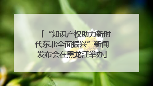“知识产权助力新时代东北全面振兴”新闻发布会在黑龙江举办