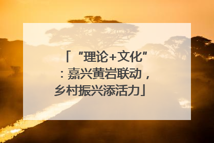 “理论+文化”：嘉兴黄岩联动，乡村振兴添活力