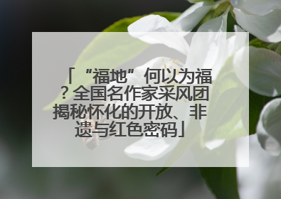 “福地”何以为福？全国名作家采风团揭秘怀化的开放、非遗与红色密码