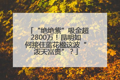 “绝绝紫”吸金超2800万！昆明如何接住蓝花楹这波“泼天富贵”？
