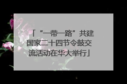 “一带一路”共建国家二十四节令鼓交流活动在华大举行