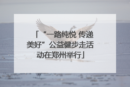 “一路纯悦 传递美好”公益健步走活动在郑州举行