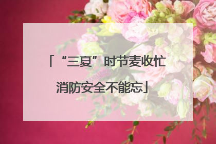 “三夏”时节麦收忙 消防安全不能忘