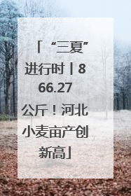 “三夏”进行时丨866.27公斤！河北小麦亩产创新高