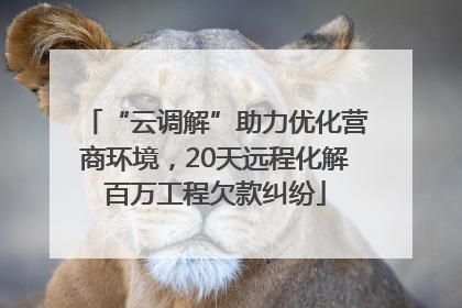 “云调解”助力优化营商环境，20天远程化解百万工程欠款纠纷