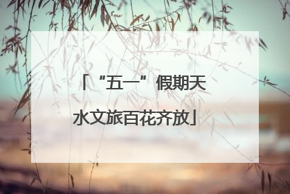 “五一”假期天水文旅百花齐放