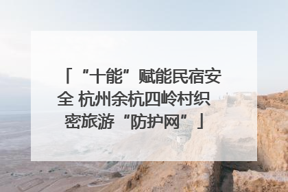 “十能”赋能民宿安全 杭州余杭四岭村织密旅游“防护网”