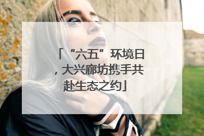 “六五”环境日，大兴廊坊携手共赴生态之约