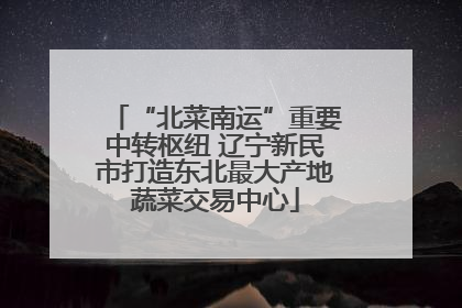 “北菜南运”重要中转枢纽 辽宁新民市打造东北最大产地蔬菜交易中心