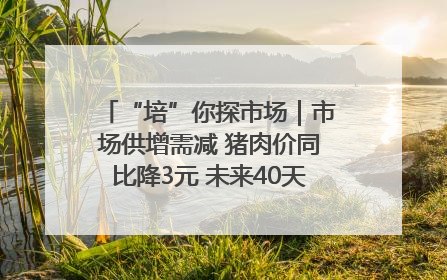 “培”你探市场｜市场供增需减 猪肉价同比降3元 未来40天便宜猪肉敞开吃
