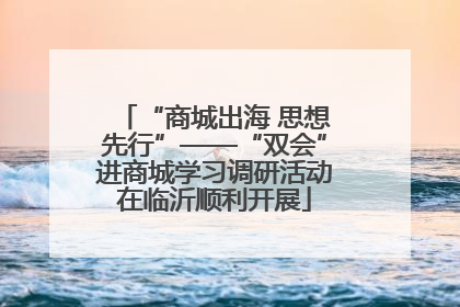 “商城出海 思想先行”——“双会”进商城学习调研活动在临沂顺利开展