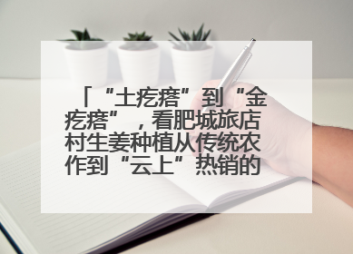 “土疙瘩”到“金疙瘩”，看肥城旅店村生姜种植从传统农作到“云上”热销的蝶变之路