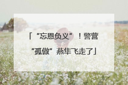 “忘恩负义”！警营“孤傲”燕隼飞走了
