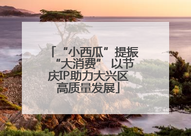 “小西瓜”提振“大消费” 以节庆IP助力大兴区高质量发展