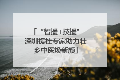 “智援+技援” 深圳援桂专家助力壮乡中医焕新颜