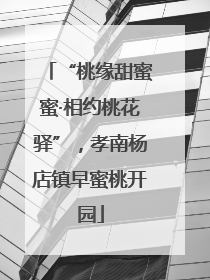 “桃缘甜蜜蜜·相约桃花驿”，孝南杨店镇早蜜桃开园