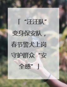 “汪汪队”变身保安队，春节警犬上岗守护群众“安全感”