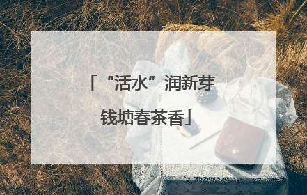 “活水”润新芽 钱塘春茶香