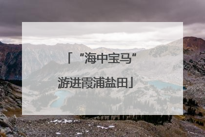 “海中宝马”游进霞浦盐田