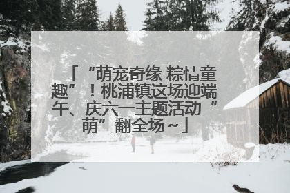 “萌宠奇缘 粽情童趣”！桃浦镇这场迎端午、庆六一主题活动“萌”翻全场～