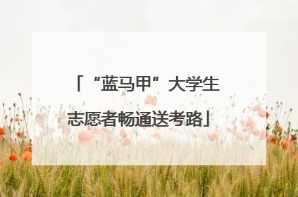 “蓝马甲”大学生志愿者畅通送考路