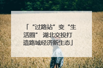 “过路站”变“生活圈” 湖北交投打造路域经济新生态