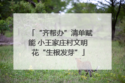 “齐帮办”清单赋能 小王家庄村文明花“生根发芽”