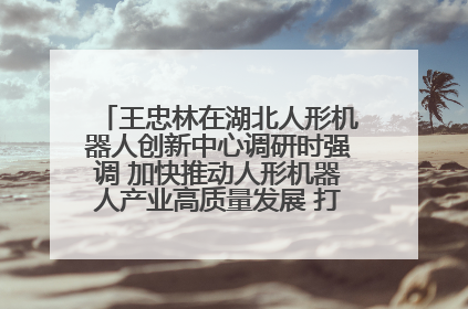 王忠林在湖北人形机器人创新中心调研时强调 加快推动人形机器人产业高质量发展 打造具有全国影响力的研发创新基地
