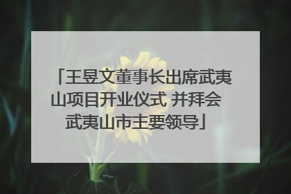 王昱文董事长出席武夷山项目开业仪式 并拜会武夷山市主要领导