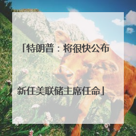 特朗普：将很快公布新任美联储主席任命