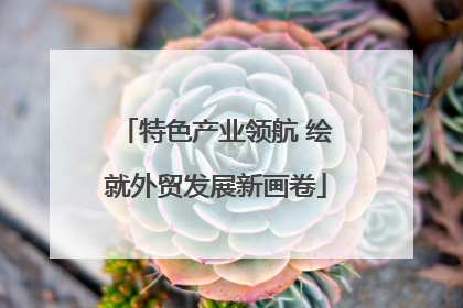 特色产业领航 绘就外贸发展新画卷
