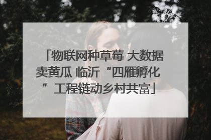 物联网种草莓 大数据卖黄瓜 临沂“四雁孵化”工程链动乡村共富